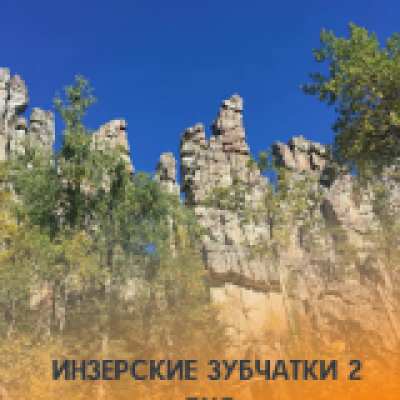 Отзывы на ремонт Инзерские зубчатки на 1 день
